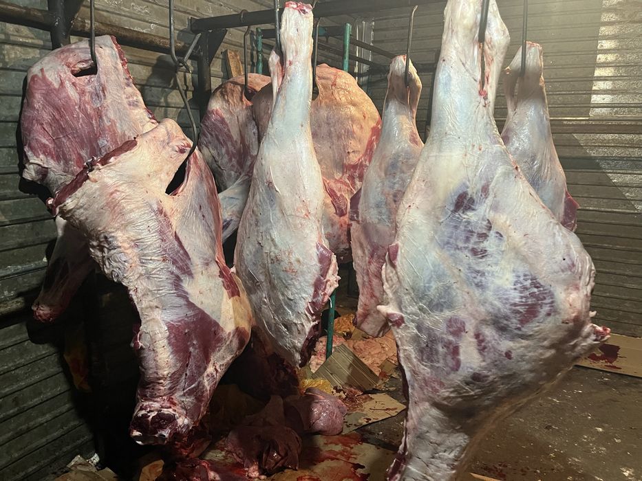 Вынужденный забой