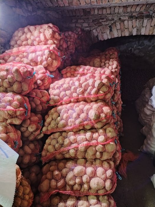 Cartofi roși de consum