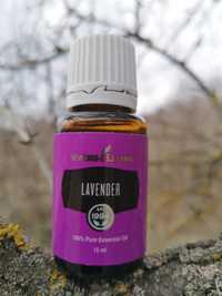 Ulei esențial Young Living Lavanda 15 ml