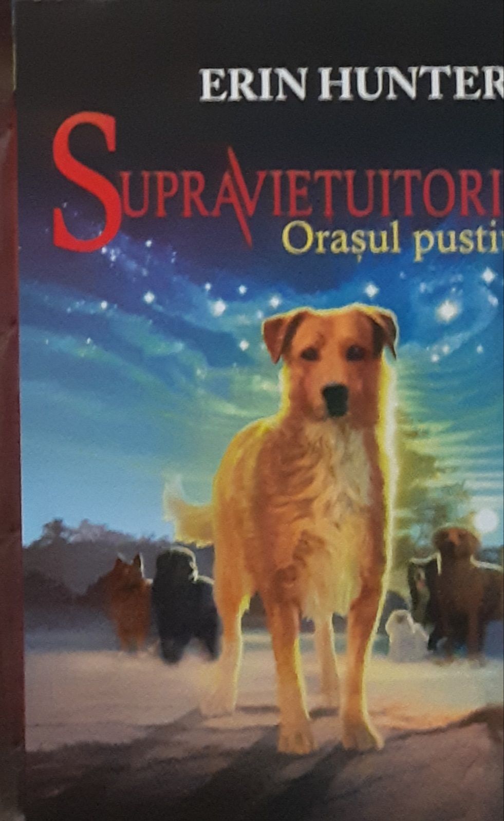 Vand carte pt copii, Supravietuitorii, orasul pustiu