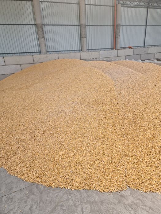 Șrot soia (proteină crudă min. 46%), Şrot floarea soarelui (proteină c