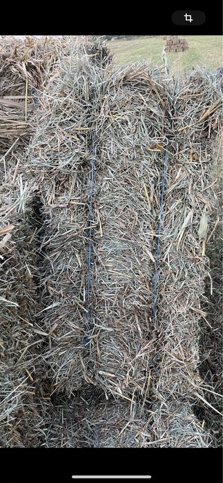 Lucerna , paie, fan , miriste calitatea 1