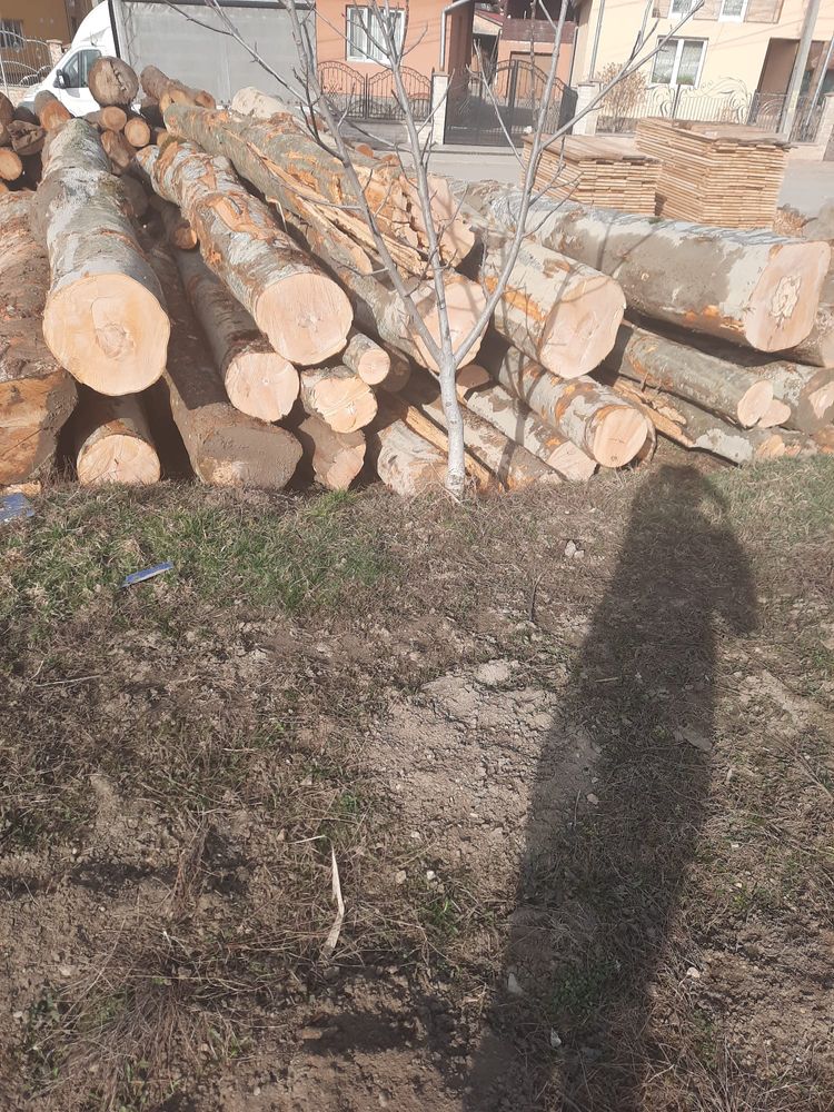 Vând lemn de foc fag
