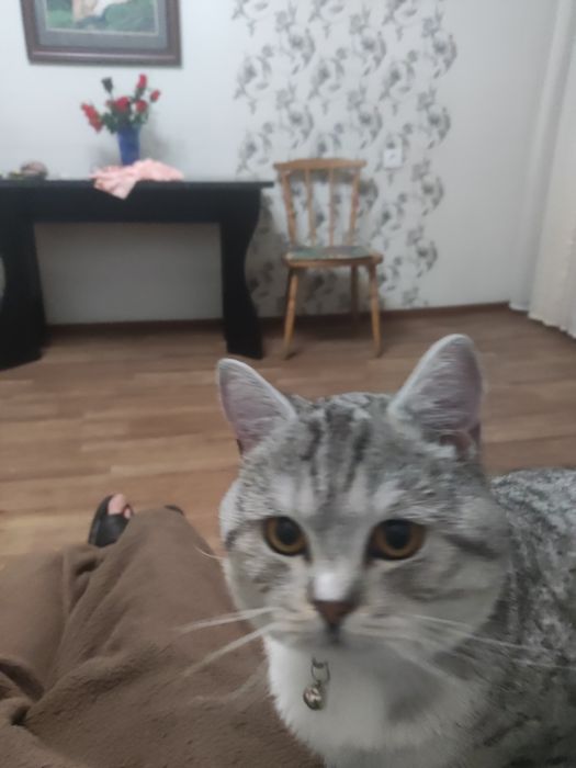 Продам . За символическую сумму 100 $