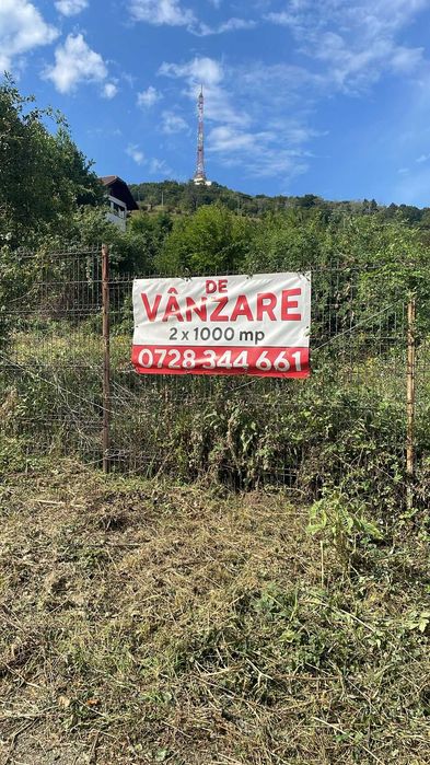1000 mp  teren intravilan Piatra Neamt