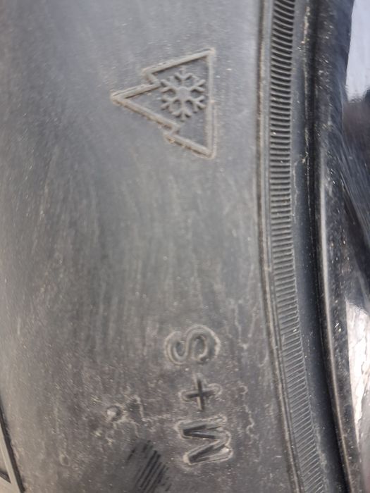 17 kia arginal diska balon