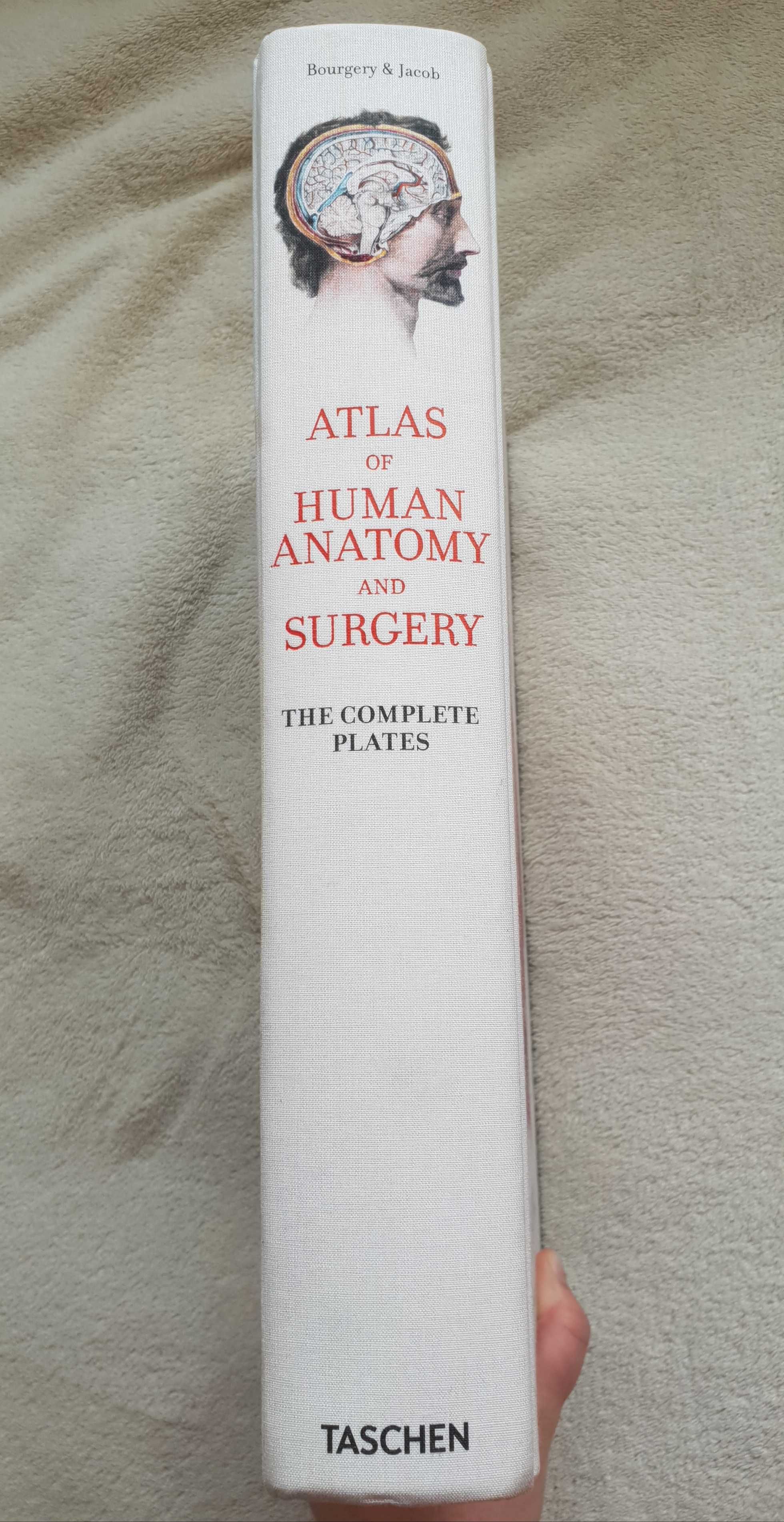 Атлас по Анатомия и Хирургия (Taschen Books)
