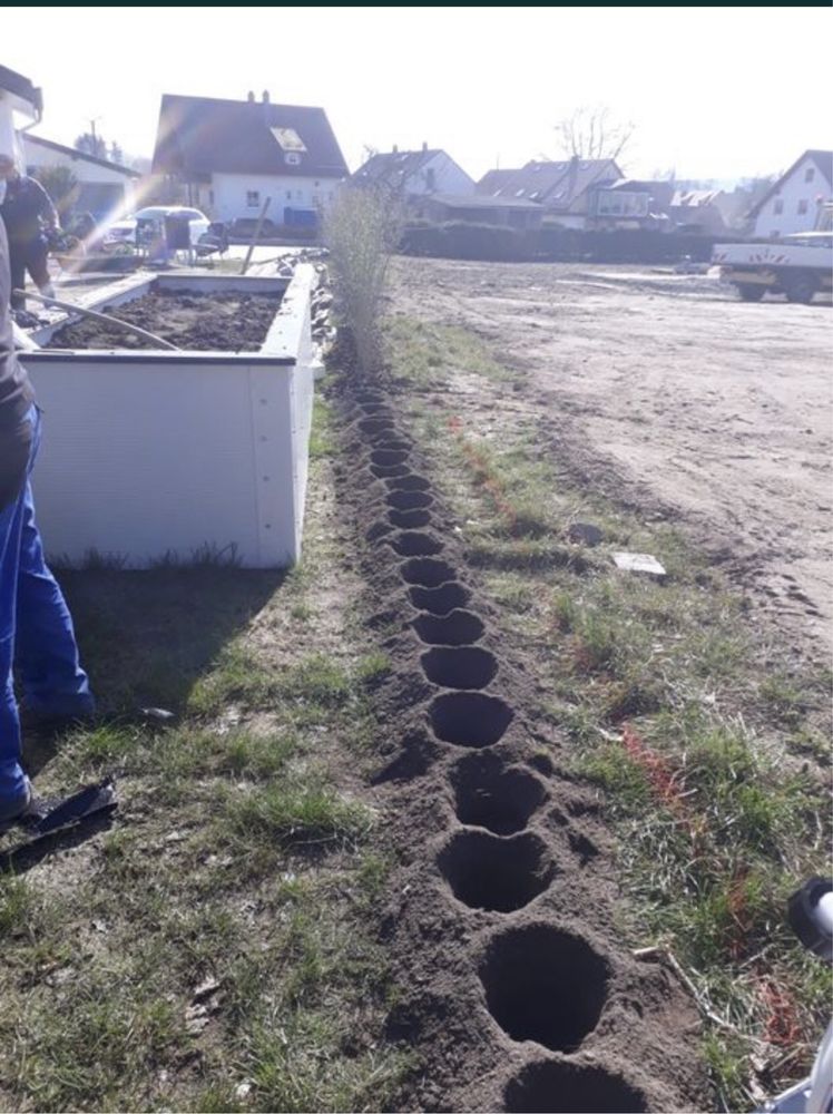 Gard Viu , Lemn Cainesc , livrare la domiciliu