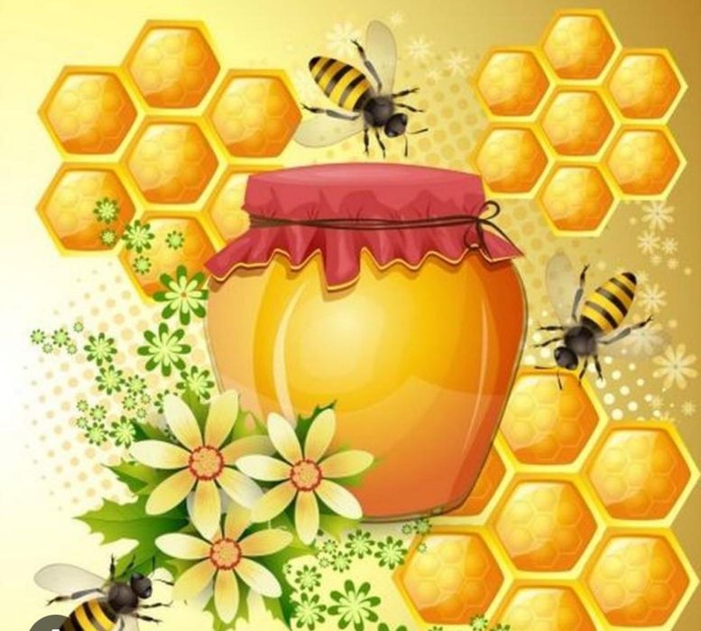 Продам мед домашний