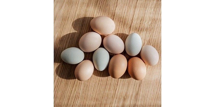 Продам куриные домашние яйца