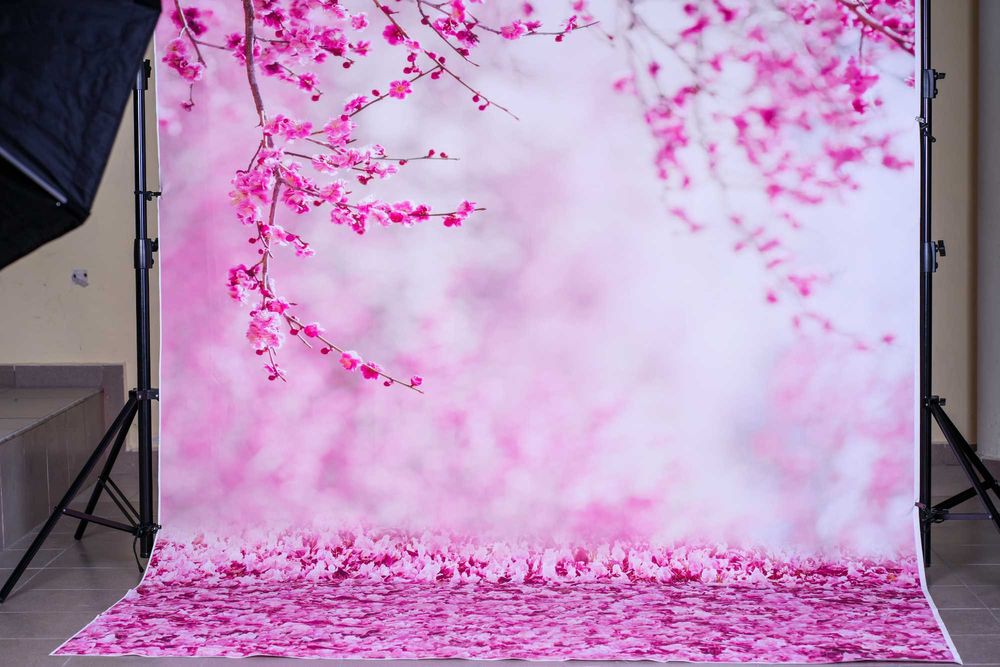 Декори за снимки