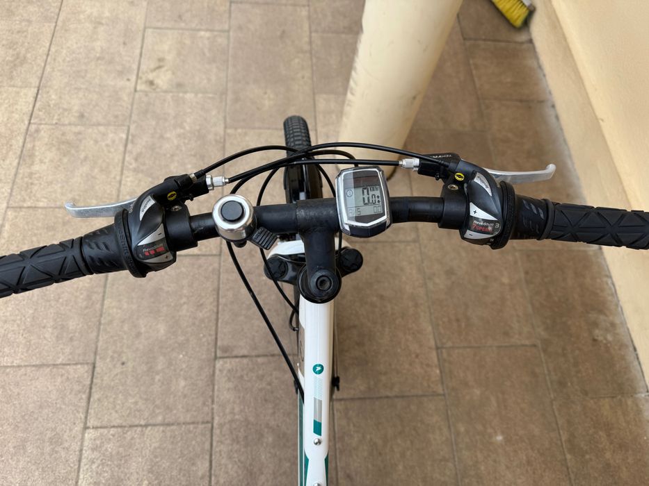 Bicicleta Trekking Pegasus Avanti 24”