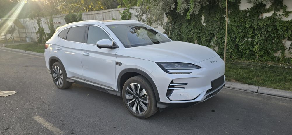 Byd champion smart 2025 yil rangi oq