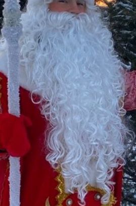 Борода деда Мороза