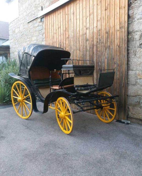 Vând caleașca istorică.