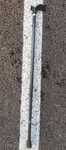 Carja / baston telescopic reglabil