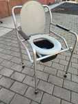 Scaun wc batrani