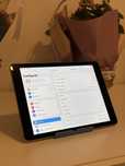 iPad Air 2 Grey 64GB