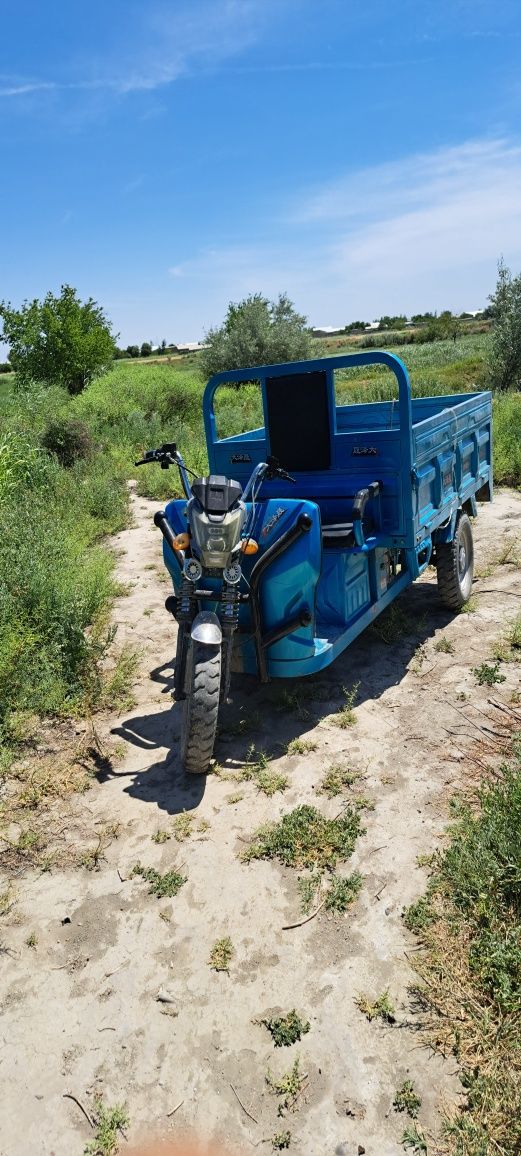 Elektro moto 2024 yili