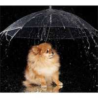 Зонт поводок для Собак