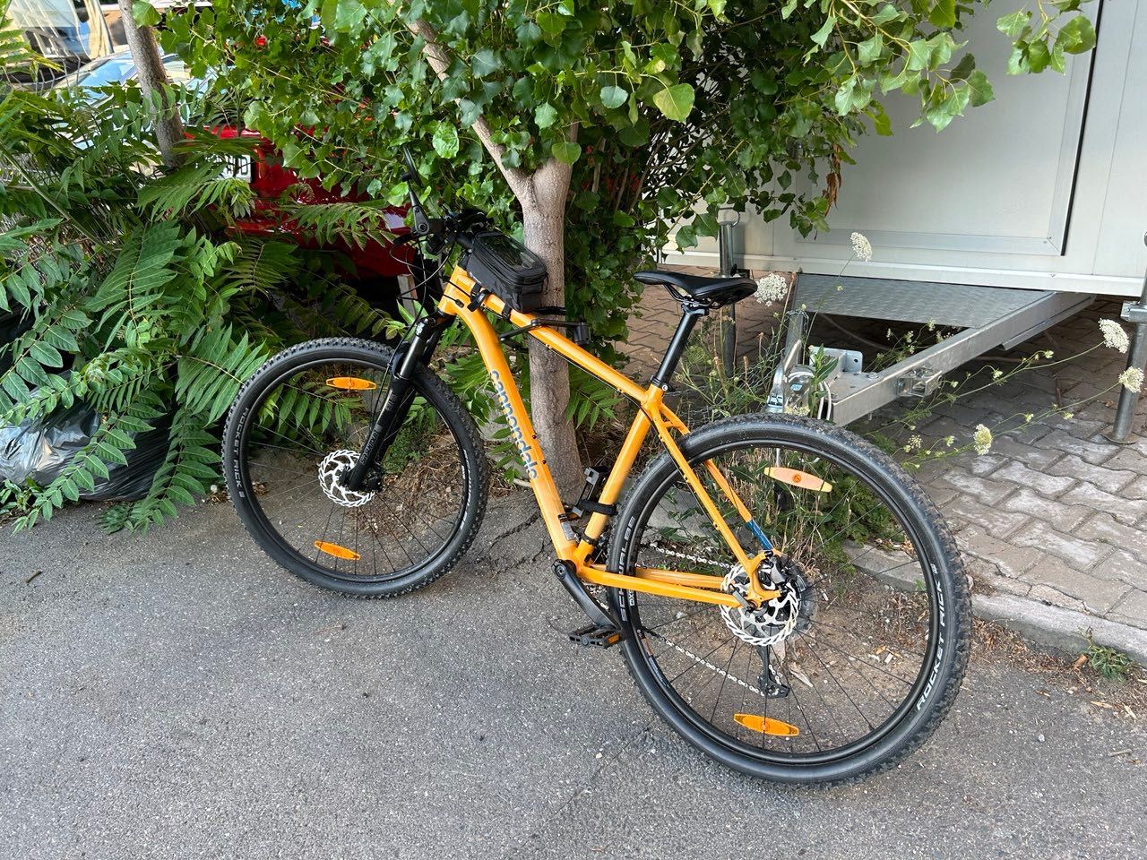 MTB Cannondale Trail 5 2022
