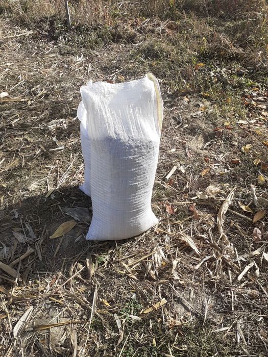 Mraniță de vaca la sac
