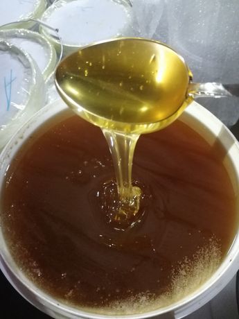 Продам настоящий мёд со своей пасеки