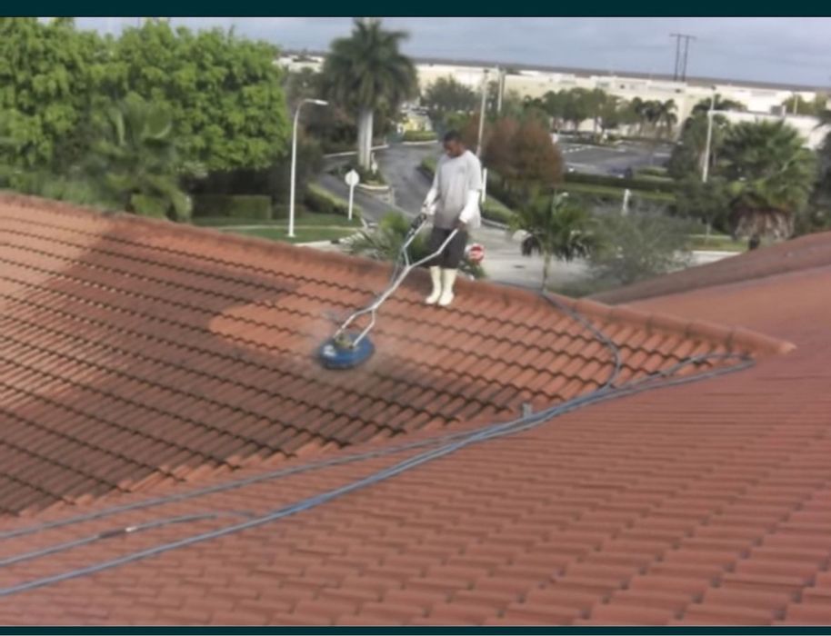 Spal case garduri curti pavaje garduri burlane spalat curatat exterior