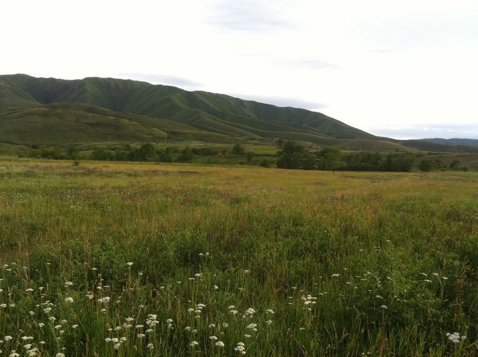 Продам участок  земли