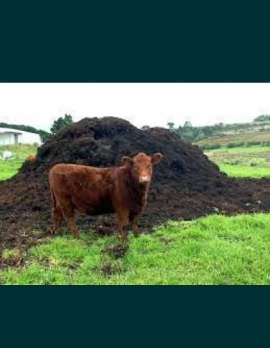 Mranita ,îngrășământ natural Pentru plante solar