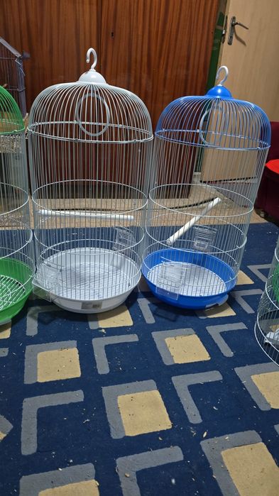 Colivie păsări papagali și canari
