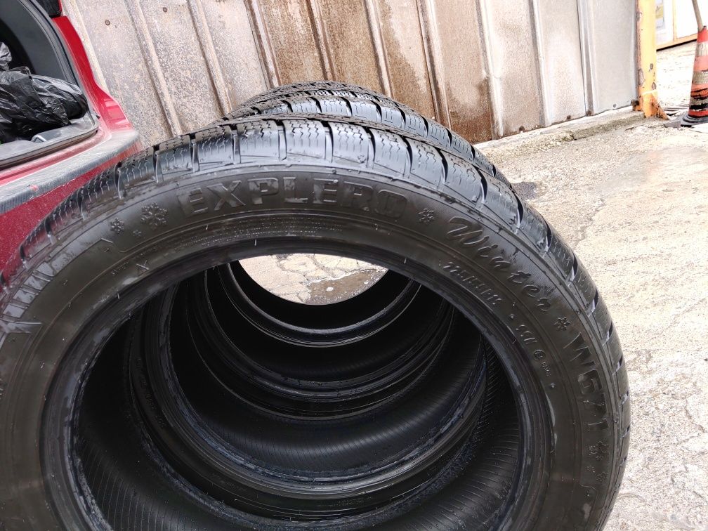 Зимни гуми PETLAS EXPLERO W671 SUV 225/55 R19