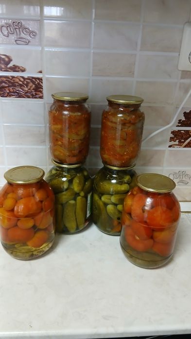Домашняя засолка