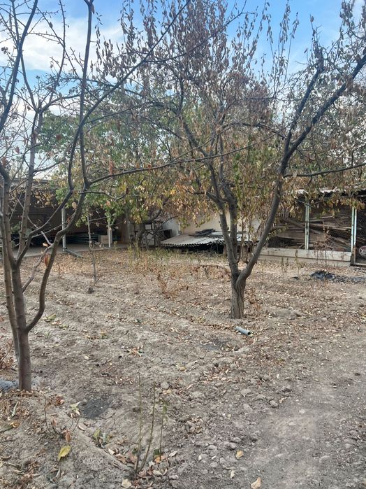 Chirchiqda Dacha sotiladi 4.2 sotix, tayyor biznes uchun joy