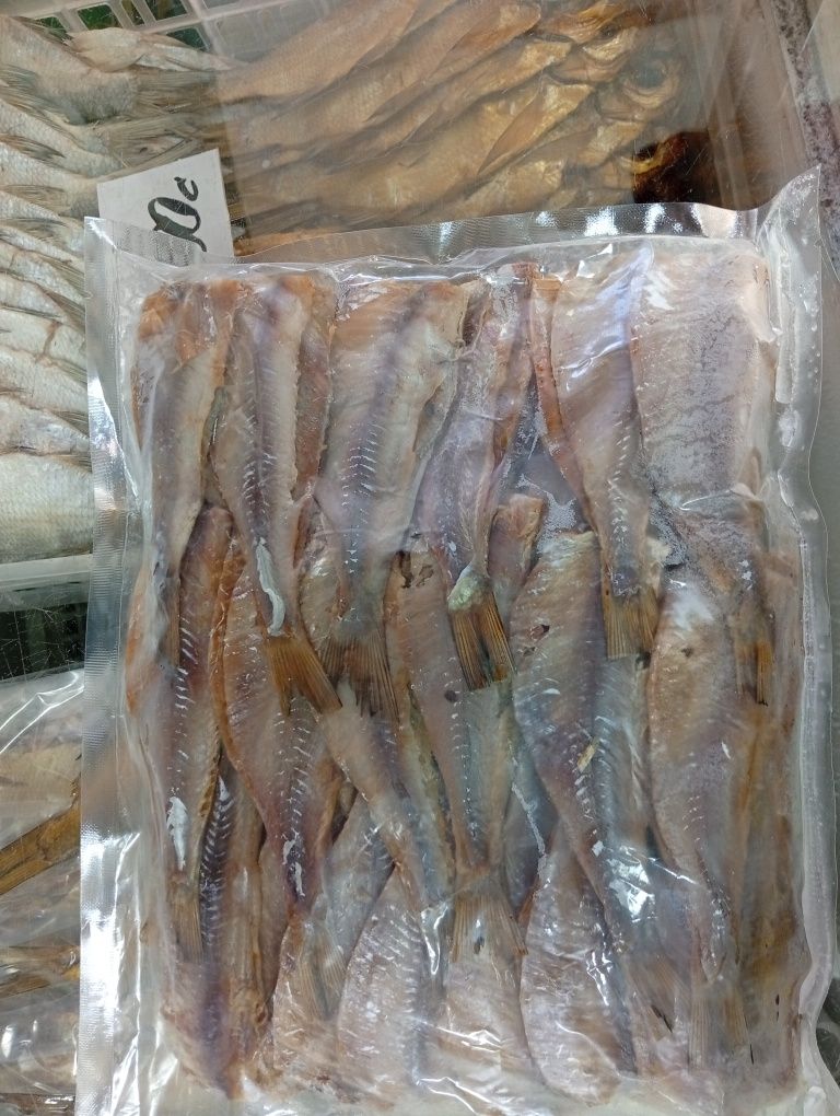 Baliq kichkina kapchoni
