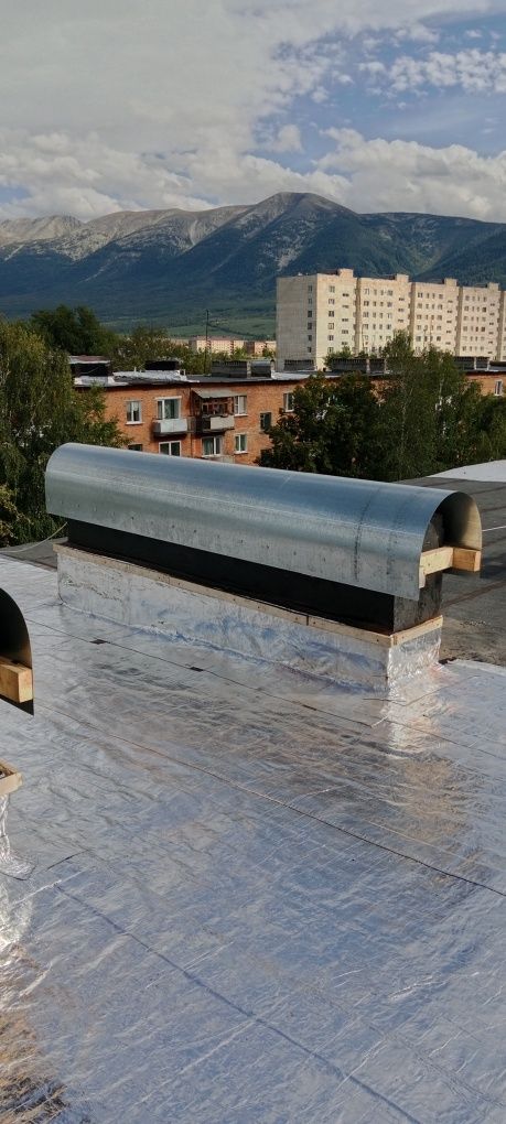 Кровельные работы Ризолином