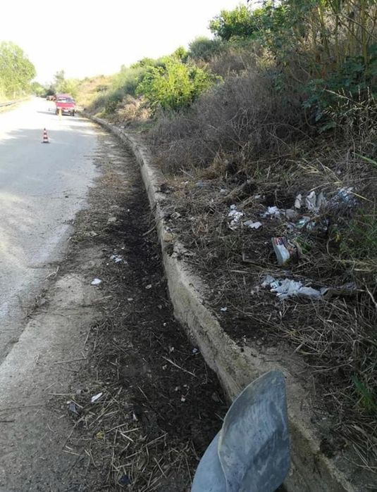 Curatare defrisare terenuri