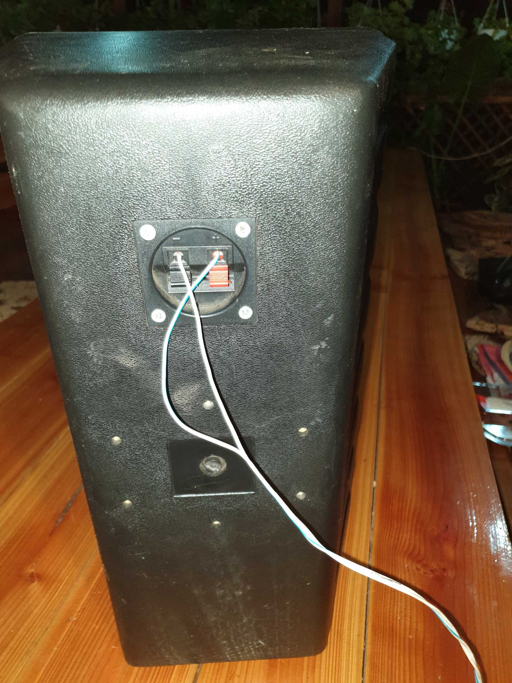 boxa PASIVA 100w