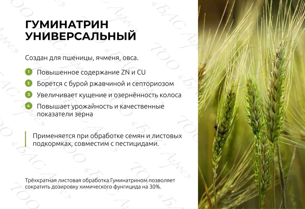 Семена:Сорго Суданка Кострец Донник Эспарцет Люцерна Вика Фацелия Лён