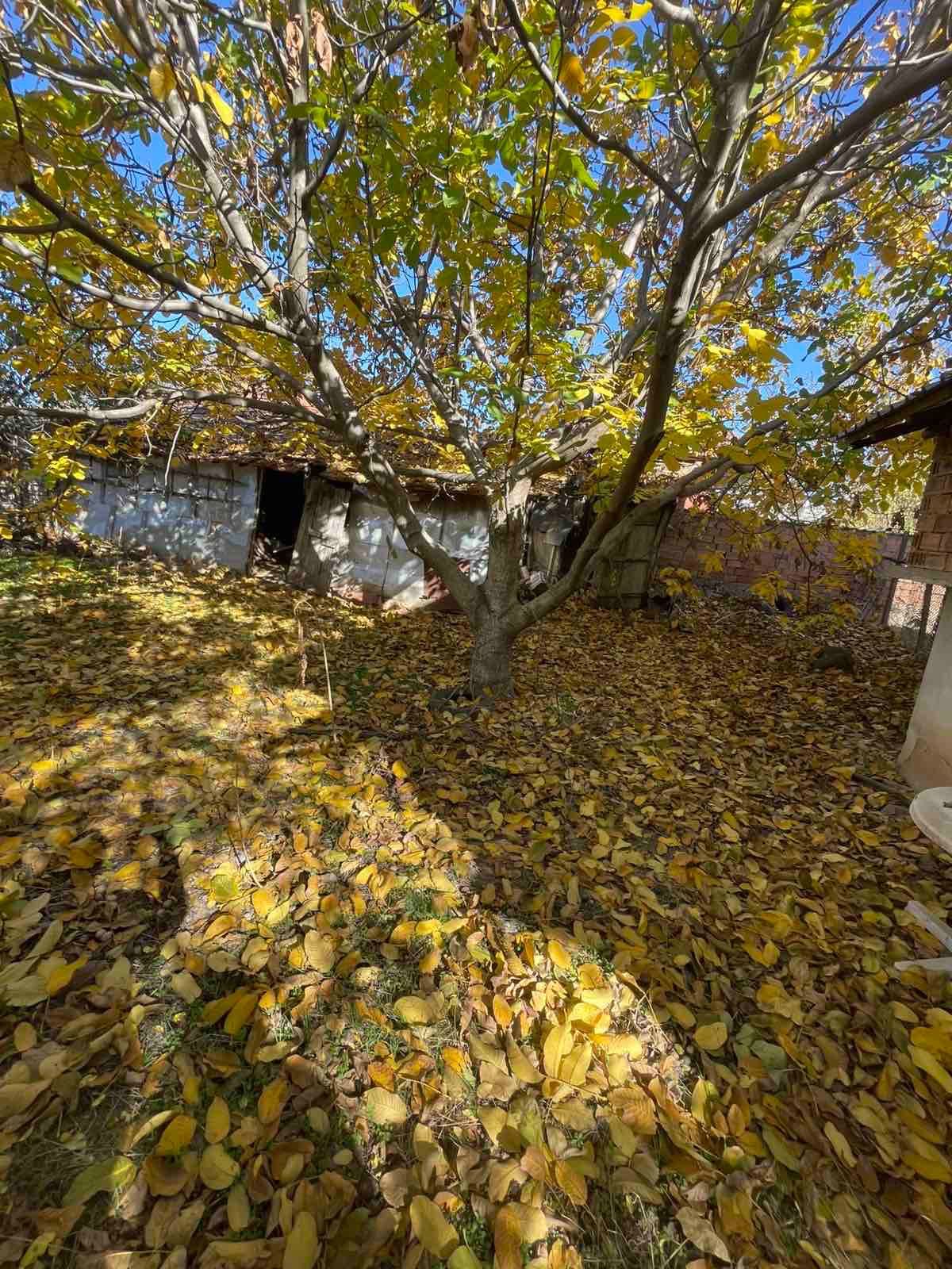 Къща в село Козловец