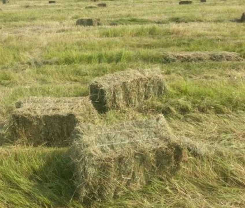 Сбор тюков сена с поля