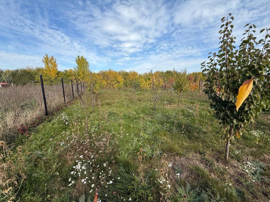 Ofer spre Vanzare Teren intravilan / loc de casa in Vetis