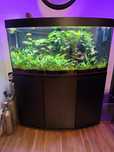 Acvariu Juwel Vision 260L, filtru intern + extern, CO2, nutrienti
