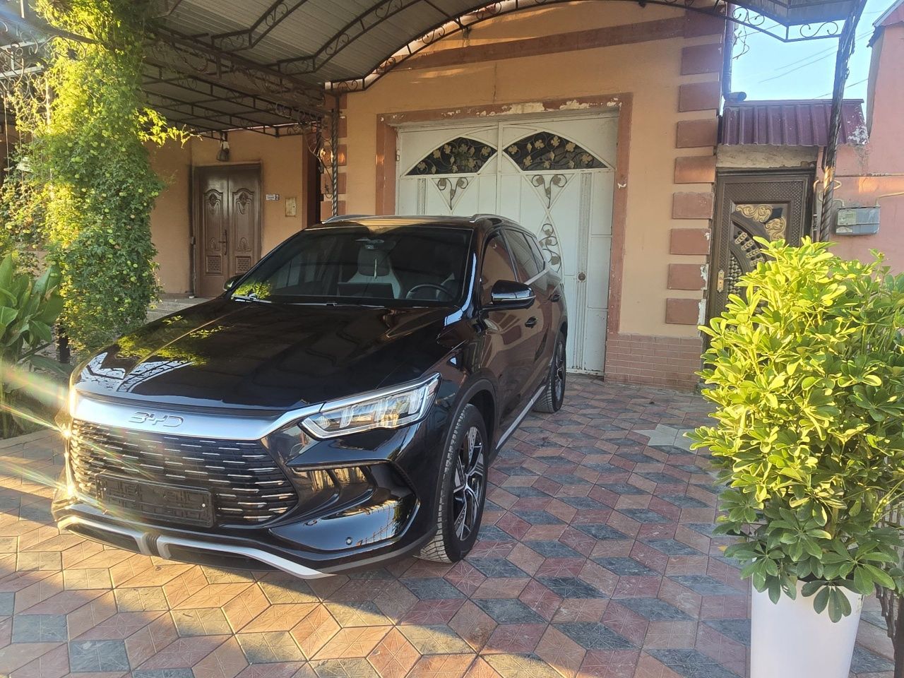 BYD song pro  Dm-i champion