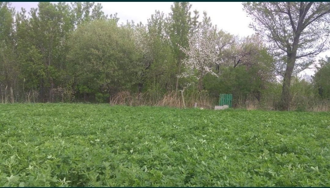 Продается не большой дом с хорошим участком
