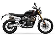 Oferta Motocicleta Triumph Scrambler 1200 XE 2024 | Suport 1.200 Euro!