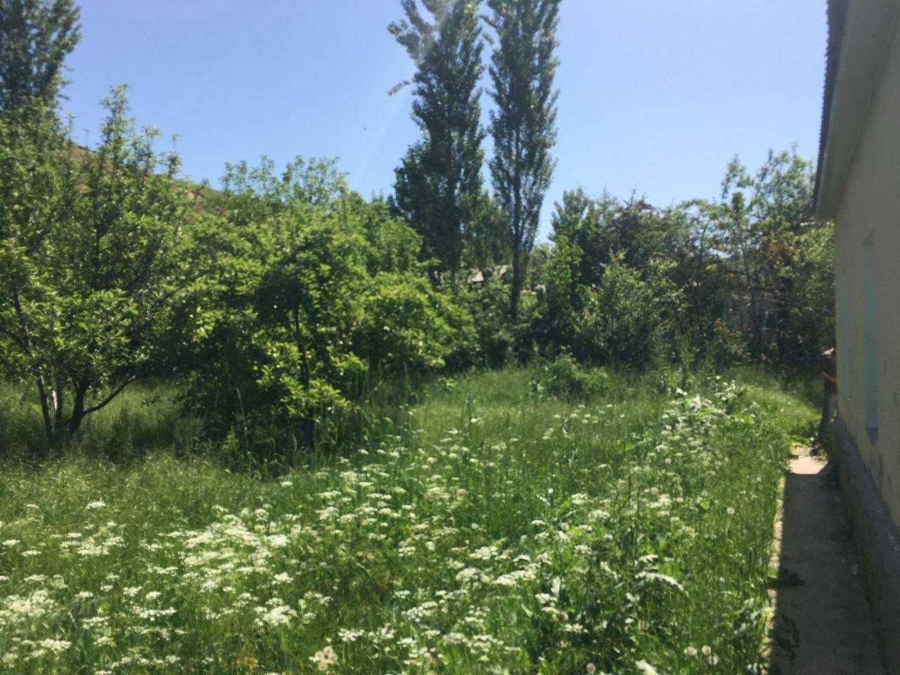 Продажа дом  в доль дороге  по дороге Амирсой