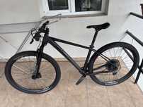 Radon Jealous Al 9.0 2022 xc hardtail 29