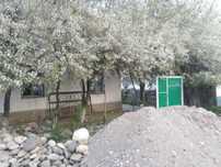 Axil qoʻshnilar va tabiat