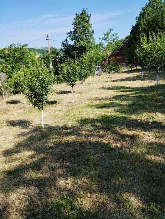 Casa de vânzare în Geaca, județul Cluj